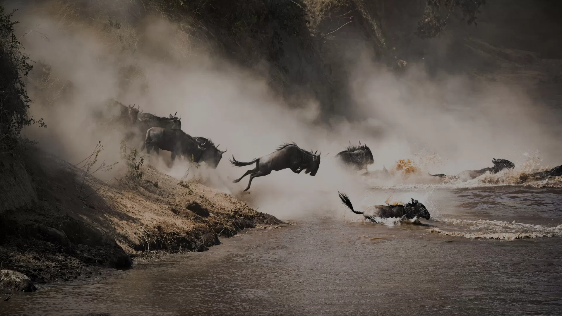 6-days-northern-serengeti-wildebeest-migration