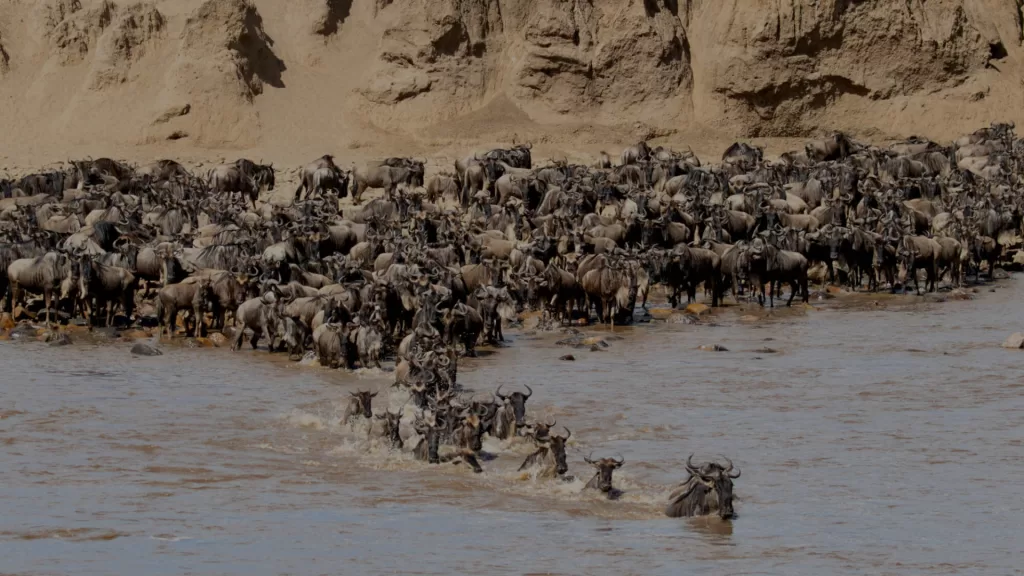 6 Days Serengeti Migration Safari