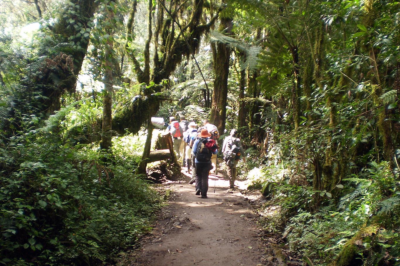 Marangu Gate (1)