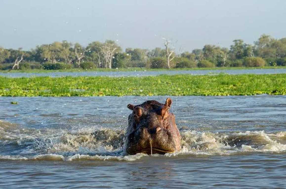 Nyerere national Park