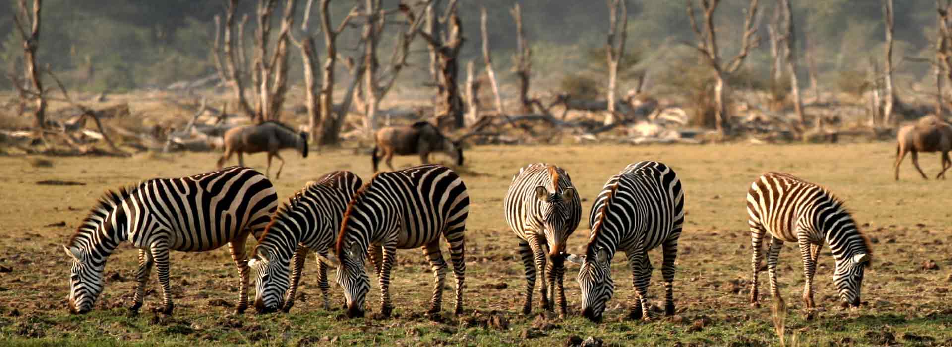 lake-manyara-national-parks-banner