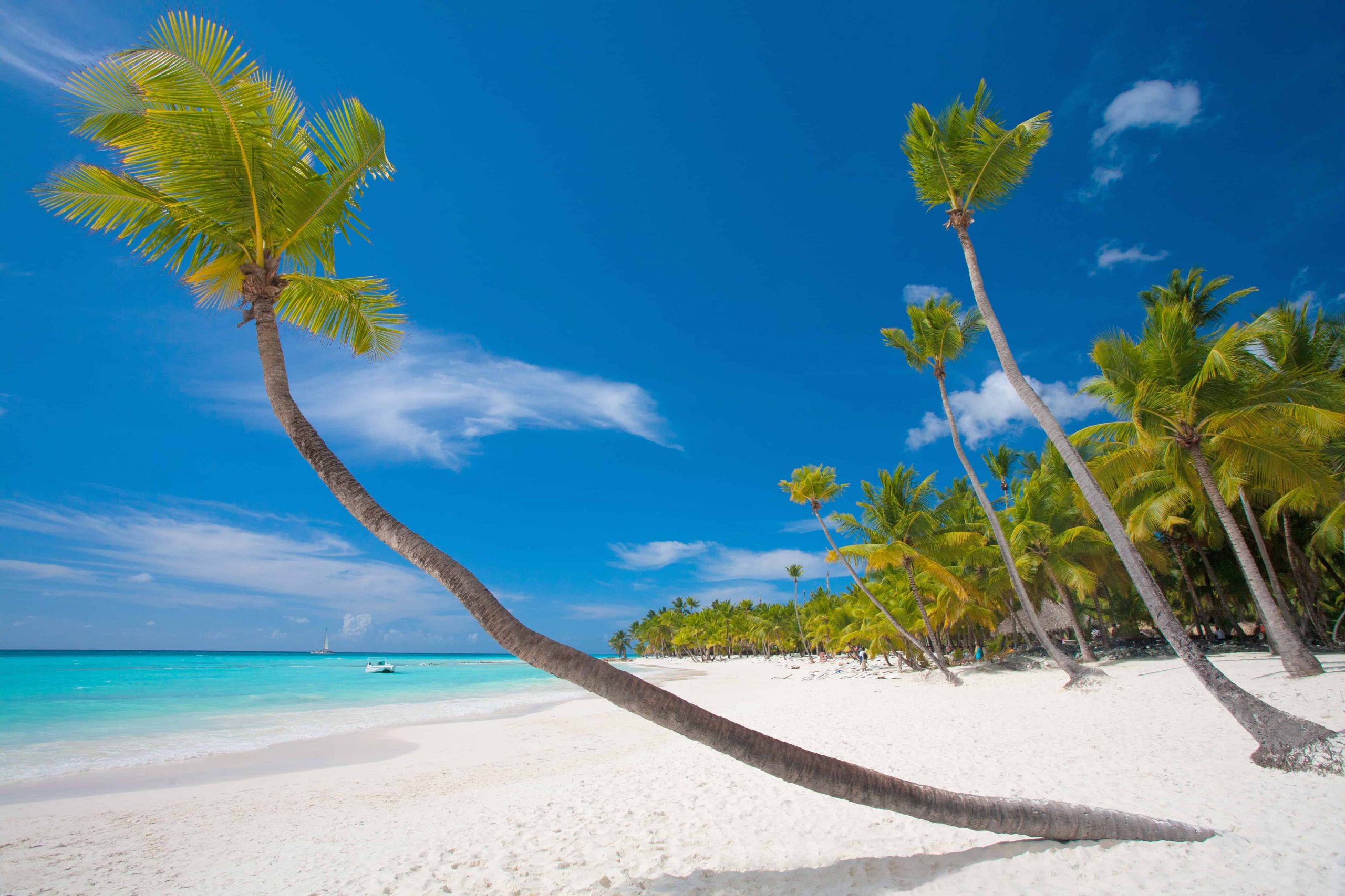 white-sands-beach-in-zanzibar-scaled