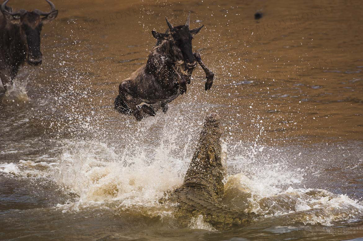 Great escape