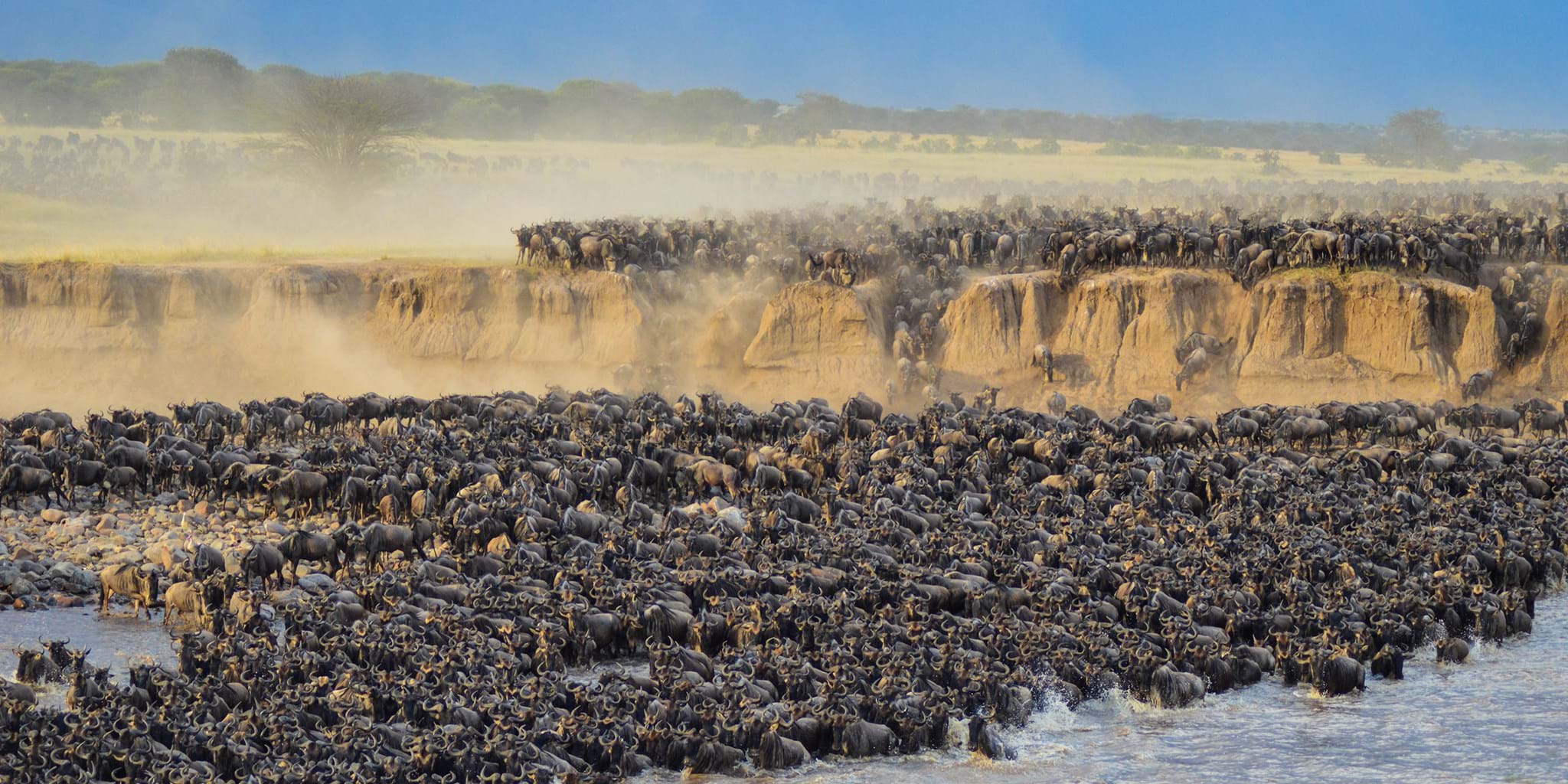 greatmigrationtanzania